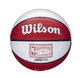 Баскетбольный Мини-Мяч Wilson NBA Team Retro MINI(WTB3200XBCHI) 3 - изображение 3