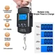 Кантер весы электронные портативные 50 кг Domotec №1552 - изображение 4