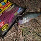 Силикон Lucky John Unagi Slug 2.5in / 63мм / 10шт / цвет F13 (140304-F13) - изображение 2