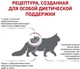 Сухой корм для взрослых кошек Royal Canin Veterinary Renal Feline 2 кг (3182550711142) (39000209) - изображение 3