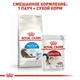 Сухой корм Royal Canin Indoor Long Hair - сухой корм для живущих в помещении длинношерстных кошек, 2 кг (25490209) - изображение 5