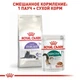 Сухий корм Royal Canin Sterilised 7+ - сухий корм для кастрованих котів та кішок старше 7 років 3.5 кг (2560004) - зображення 6