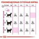 Сухой корм Royal Canin Aroma Exigent - для кошек, требовательных к аромату корма, 2 кг (2543020) - изображение 4