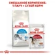 Сухой корм Royal Canin Indoor 27 - для взрослых не покидающих помещение кошек 4 кг (25290409) - изображение 5