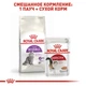 Сухой корм Royal Canin Sensible 33 - сухой корм для взрослых кошек с чувствительным пищеварением, 4 кг (2521040) - изображение 5