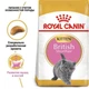 Сухой корм для кошек Royal Canin BRITISH SHORTHAIR KITTEN для котят породы Британской короткошерстной 2кг - изображение 5