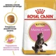 Сухой корм для кошек Royal Canin MAINE COON KITTEN для котят породы Мейн-кун 400г - изображение 11
