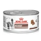 Влажный корм для кошек и собак Royal Canin RECOVERY при восстановлении 195г - изображение 1