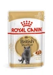 Влажный корм для кошек Royal Canin BRITISH SHORTHAIR ADULT кусочки паштета в соусе для кошек породы Британская - изображение 1