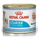 Влажный корм Royal Canin STARTER MOUSSE для кормящих собак и щенков 195г - изображение 5