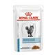 Вологий корм для кішок Royal Canin SkinCoat 85г - корм для кішок при дерматозах і випаданні шерсті - зображення 2