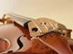 Комплект струн для скрипки Warchal Amber 700B WR-700B - изображение 2