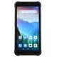 Смартфон Blackview BV6600 Pro 4/64Gb (Black) EU [66713] - изображение 7