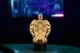 Сменная пластина для 3D светильников "Черепаха" 3DTOYSLAMP (НЕ НОЧНИК) - изображение 1