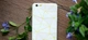 Чехол для Apple iPhone 13 Gold Rose (17240040092182535) - изображение 5