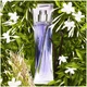 Парфюмированная вода Lancome Hypnose 75 ml (27-311075) - изображение 2