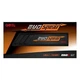 Оперативная память Geil EVO Spear DDR4 8GB 3000 MHz (GSB48GB3000C16ASC) - изображение 2