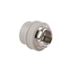 Муфта PPR Thermo Alliance 40х1" 1/4 ВР DSB208 - изображение 1
