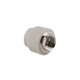 Муфта PPR Thermo Alliance 32х1" ВР DSB207 - зображення 1