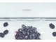 Вакуумний пакувальник Caso GourmetVAC 480 ORIGINAL - зображення 4