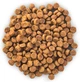 Сухий корм Hills SP Adult Small & Mini Chicken з куркою для собак дрібних порід 0.3 кг (52742031620) - зображення 2