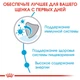Сухий корм Royal Canin Mini Puppy для цуценят дрібних порід 4 кг (3182550793032) - зображення 4