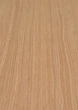 Шпон файн-лайн Classic Veneer Дуб Классический 2500x640 мм (DACP 07) - изображение 1
