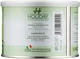 Віск для депіляції "Алое Віра" - Holiday Depilatory Wax Aloe 400ml (999085-46158) - зображення 2
