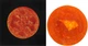 Мило-мочалка "Апельсин" - Tsukerka Candy Soap Orange 80g (398447-31019076) - зображення 1