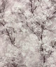Обои виниловые на флизелиновой основе AS Creation New Walls 0,53х10,05м розовый (37420-4) - изображение 2
