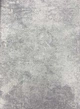 Обои виниловые на флизелиновой основе AS Creation New Walls 0,53х10,05м серый (37425-4) - изображение 2
