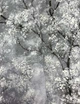 Обои виниловые на флизелиновой основе AS Creation New Walls 0,53х10,05м серый (37420-1) - изображение 3