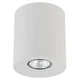 Точковий світильник ORION 12,5 WH TK-Lighting 3237 - зображення 1