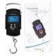 Кантер WeiHang WH-A08, 50кг (шаг 10г) - изображение 2