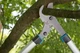 Гілкоріз Gardena EnergyCut 600B Gar (12006-20.000.00) - зображення 4