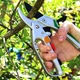 Секатор Gruntek Kondor 200х20 мм (295200200) - изображение 6