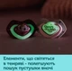 Пустышка силиконовая Canpol babies Sleepy koala симметричная 18+ месяцев 2 шт Синяя (22/660_blu) - изображение 9