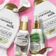 OGX Coconut Milk Conditioner Поживний кондиціонер з кокосовим молоком 385ml (423931-29015) - зображення 2