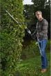Кусторез высотный RYOBI RPT4545E 220В, 450 Вт, 45 см, шаг реза 20 мм (5133002226) - изображение 2