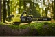 Цепная пила Ryobi RY36CSX35A-0 36В 35 см (без АКБ и ЗУ) (5133004595) - изображение 6