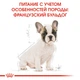 Сухой корм Royal Canin French Bulldog Puppy для щенков породы Французский бульдог 3 кг (3182550811705) - изображение 6