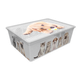Контейнер Qutu Light Box Cats and Dogs, 25 л (6749594) - изображение 1