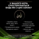 Ветеринарна дієта для котів Purina Pro Plan Veterinary Diets HA Hypoallergenic сухий гіпоалергенний корм 1,3 кг (7613035154506) - зображення 5