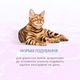 Вологий корм для котів Optimeal Beauty Harmony 70 г - тунець - изображение 5