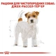 Сухий корм Royal Canin Jack Russell Terrier Adult для дорослих собак породи Джек Рассел тер'єр 3 кг - зображення 3