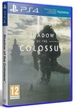 Игра Shadow of the Colossus. В тени Колосса для PS4 (Blu-ray диск, Russian subtitles) - изображение 1