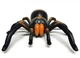 Радиоуправляемая игрушка паук Тарантул Innovation Tarantula 9986 - изображение 3
