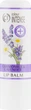 Смягчающий бальзам для губ "Ромашка и лаванда" - Colour Intense Chamomile and Lavender Lip Balm 5g (757001-6116) - изображение 2