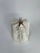 Аквабокс (Aquabox) Коробка Ваза для квітів та букетів - изображение 3