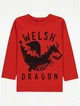 Реглан для мальчика красный Dragon George 92-98см (40005532) - изображение 1